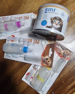 (Category: ) located in . Submitted by petstyle888 (Listing ID 1371435614, Image 1). Description: .