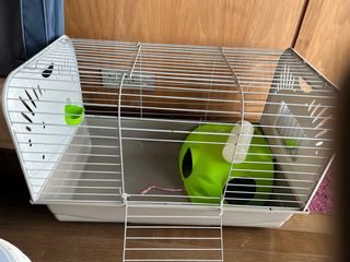 (Category: ) located in . Submitted by tattybear2002 (Listing ID 1371367494, Image 1). Description: .