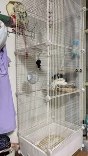 (Category: ) located in . Submitted by chloetam11 (Listing ID 1371434770, Image 1). Description: .