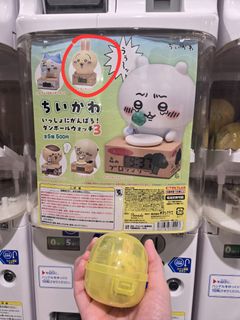 （分類：）位於 。 由 klnmay 提交（商品編號 1371633880，圖片 1）。簡介： 。