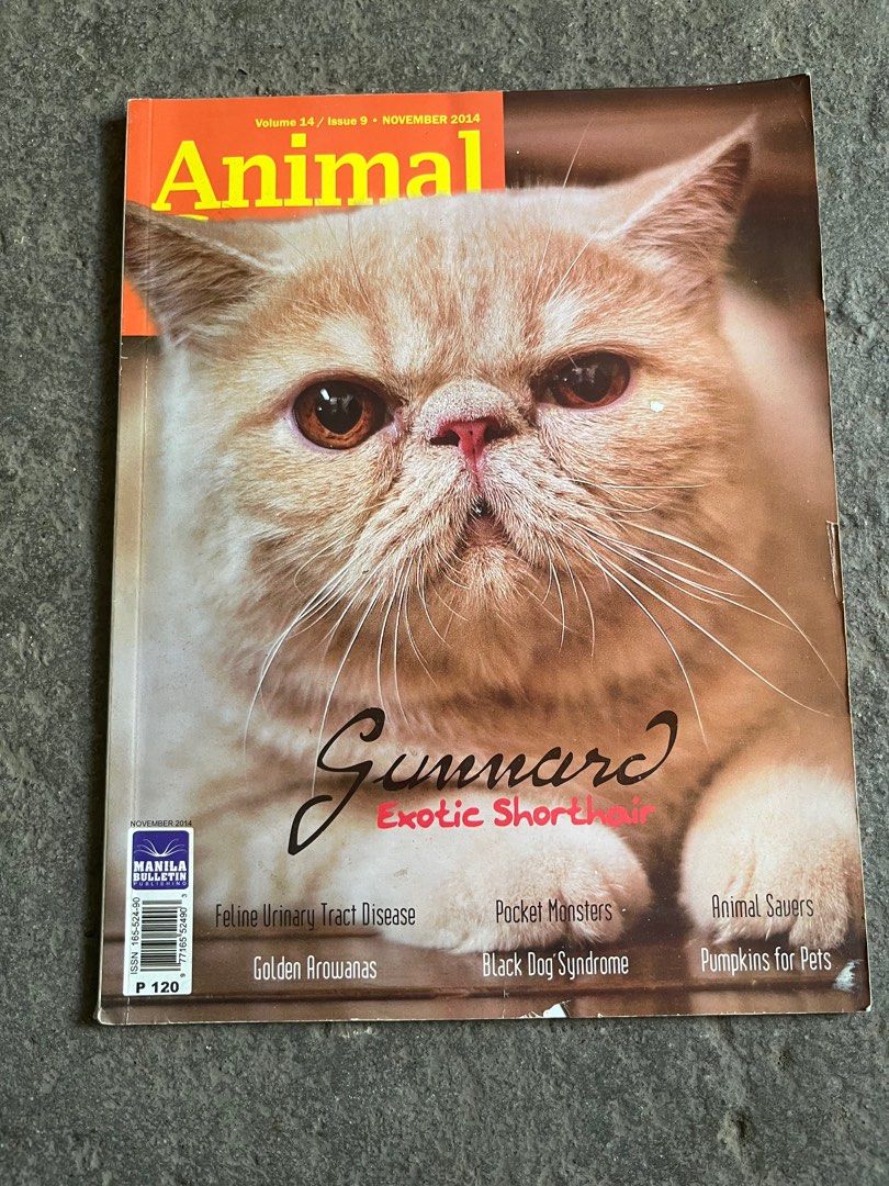 Assorted old magazines (Category: Magazines) located in Bacoor. Submitted by cjpcp (Listing ID 1371599197, Image 1). Description: Php 50 each.
