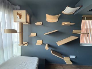 (Category: ) located in . Submitted by joewhooo (Listing ID 1371620091, Image 1). Description: .