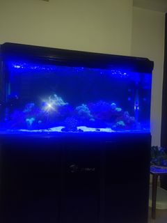 (Category: ) located in . Submitted by hemnath.kishore (Listing ID 1371660156, Image 1). Description: .
