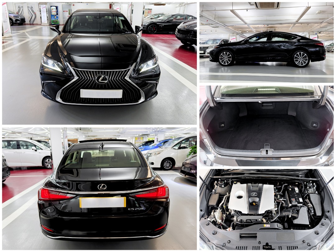 Lexus ES250 PREMIUM FACELIFTED Auto62863131874177112