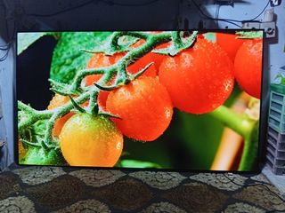 (Category: ) located in . Submitted by suleman7 (Listing ID 1371622252, Image 1). Description: .