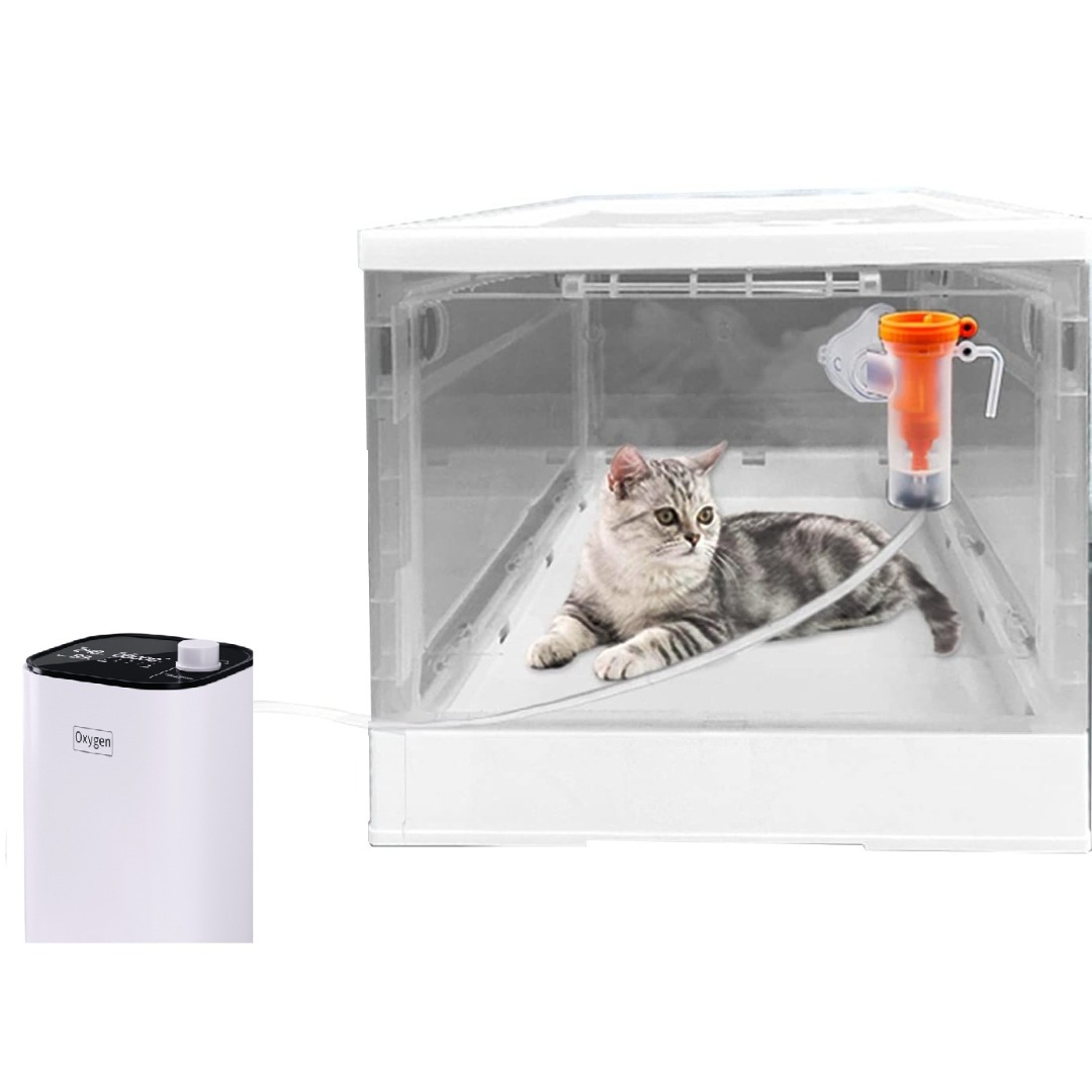 實體店鋪/SF (55L $1599 / 88L $1649) 1-9L Portable Oxygen Concentrator ...