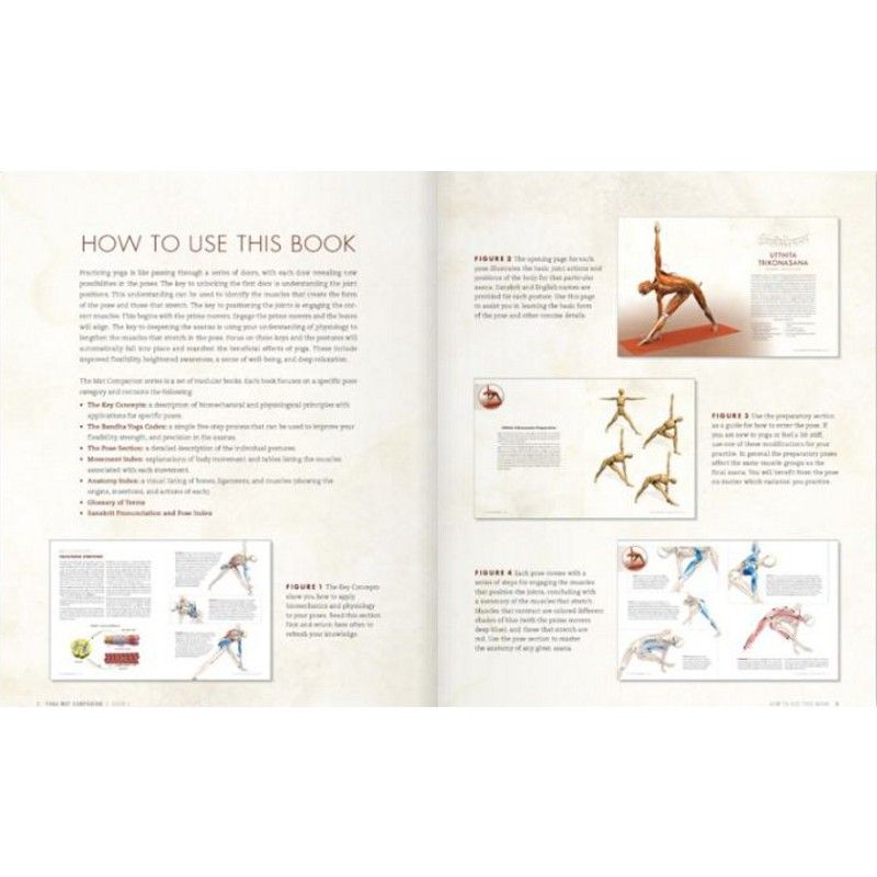 Yoga Mat Companion 1: Anatomy for Vinyasa Flow and Standing Poses book ...