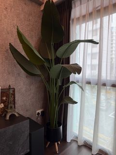 (Category: ) located in . Submitted by baglovers18 (Listing ID 1371841091, Image 1). Description: .