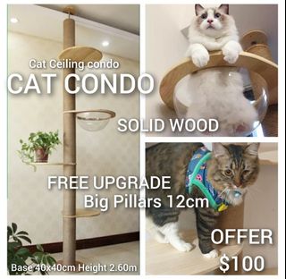 (Category: ) located in . Submitted by sayooneo222 (Listing ID 1371900256, Image 1). Description: .