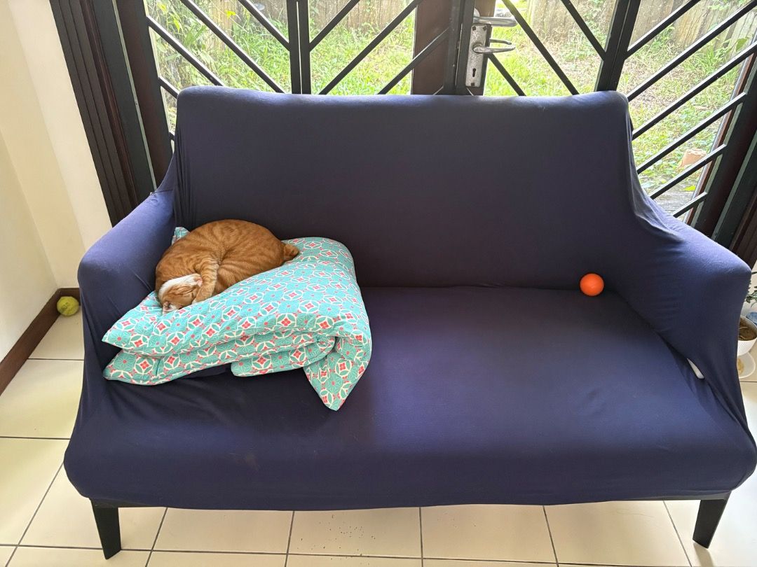 Comfort Furniture Sofa