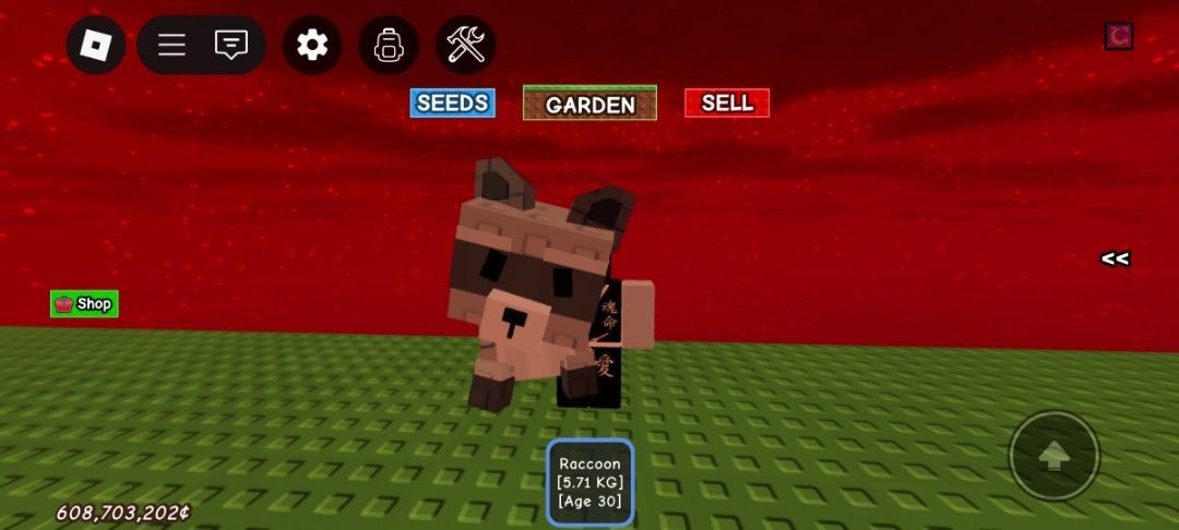 How Much Is Racoon Worth In Grow A Garden