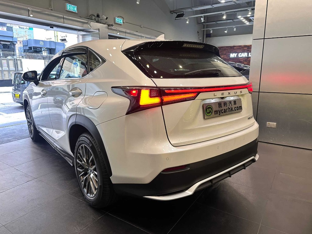 Lexus NX300 F SPORT Auto62863173459074111