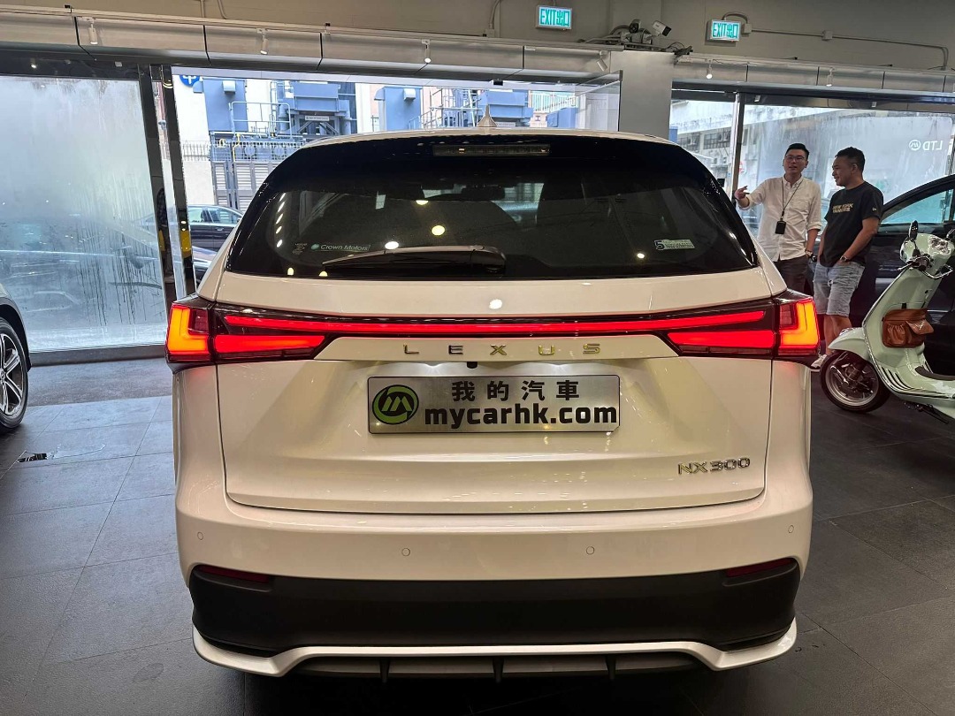 Lexus NX300 F SPORT Auto62863173459074113