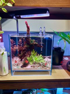 (Category: ) located in . Submitted by Oaksky (Listing ID 1367051219, Image 1). Description: .
