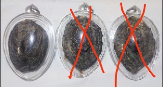 (Category: ) located in . Submitted by seller3333 (Listing ID 1361295341, Image 1). Description: .