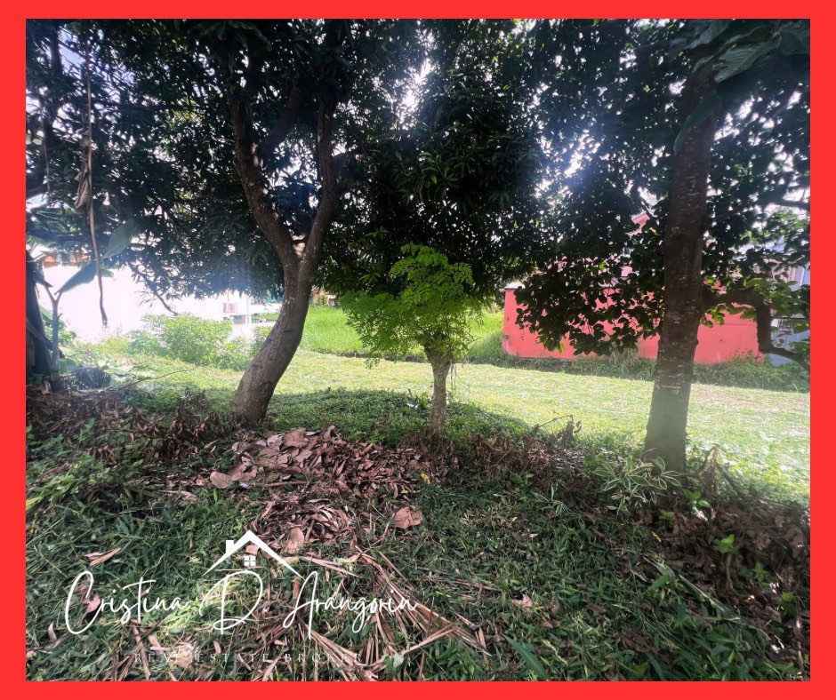 (Category: ) located in . Submitted by cristina.delima (Listing ID 1372028846, Image 1). Description: .