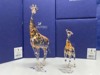 （分類：）位於 。 由 swanchow 提交（商品編號 1372073927，圖片 1）。簡介： 。