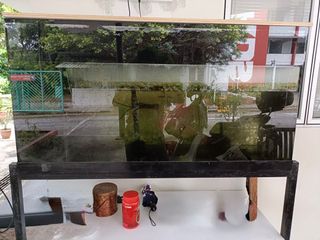 (Category: ) located in . Submitted by steventay (Listing ID 1372166438, Image 1). Description: .