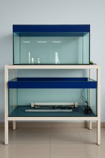 (Kategori: ) berada di . Dikirim oleh prelovedmarket.bdg (ID iklan 1372143968, Gambar 1). Deskripsi: .