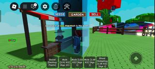 (Category: ) located in . Submitted by shookybest03624 (Listing ID 1372265035, Image 1). Description: .
