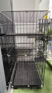 (Category: ) located in . Submitted by farizjebat (Listing ID 1372130596, Image 1). Description: .
