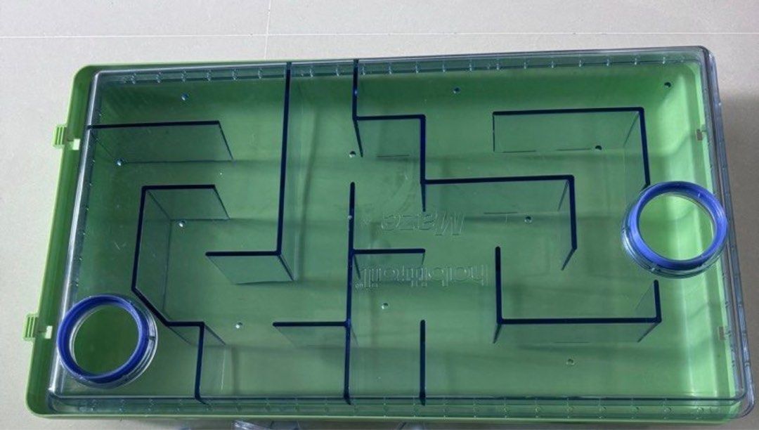 Hamster Cage (Category: Homes & Other Pet Accessories) located in Singapore. Submitted by audrey.sherri (Listing ID 1366210778, Image 1). Description: Hamster Cage Maze. Condition 10/10. Good for hamster to workout and play. Bought at $30, selling at $20. Cash and carry at Aljunied MRT..