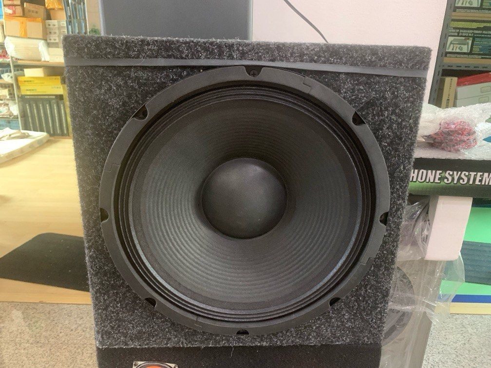 12” Passive Sub Woofer