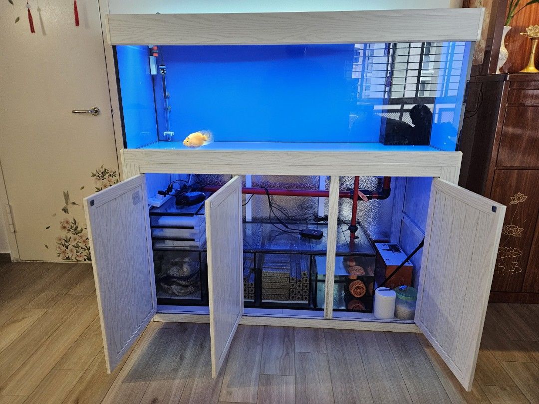 5 feet fish tank with aluminium cabinet and full filter system5 feet fish tank with aluminium cabinet and full filter system (Category: Health & Grooming) located in Singapore. Submitted by alvintan2417 (Listing ID 1367156517, Image 2). Description: 5 feet by 2feet by 2feet fish tank with aluminium cabinet and full filter system without media, heater, 2 lighting Use for 1 year currently not feeding fish anymore plan to sell away. Item purchase wi