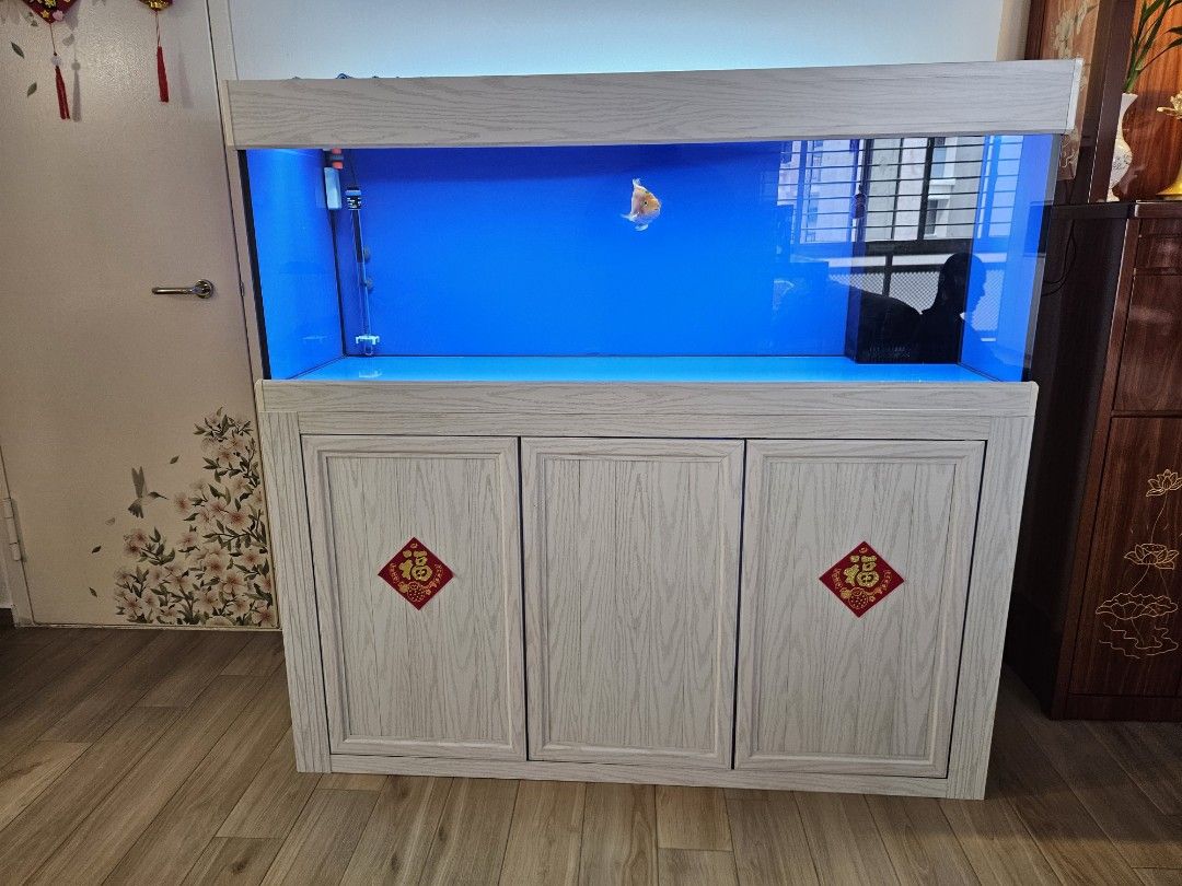 5 feet fish tank with aluminium cabinet and full filter system5 feet fish tank with aluminium cabinet and full filter system (Category: Health & Grooming) located in Singapore. Submitted by alvintan2417 (Listing ID 1367156517, Image 1). Description: 5 feet by 2feet by 2feet fish tank with aluminium cabinet and full filter system without media, heater, 2 lighting Use for 1 year currently not feeding fish anymore plan to sell away. Item purchase wi