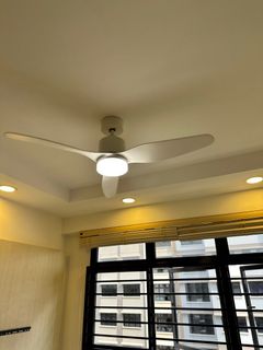 (Category: ) located in . Submitted by reyl_11 (Listing ID 1367261386, Image 1). Description: .
