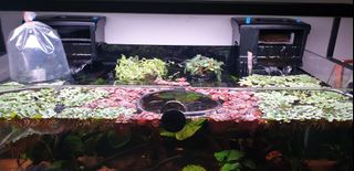 (Category: ) located in . Submitted by jimnice (Listing ID 1367186623, Image 1). Description: .