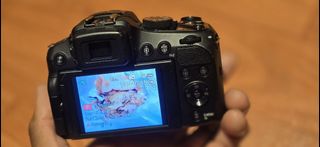 （分類：）位於 。 由 best4k4 提交（商品編號 1367271963，圖片 1）。簡介： 。
