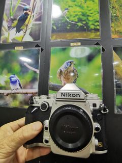 （分類：）位於 。 由 shamwo_114 提交（商品編號 1367127662，圖片 1）。簡介： 。