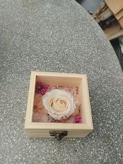 (Category: ) located in . Submitted by diy_diary (Listing ID 1367164921, Image 1). Description: .