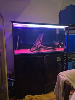 (Category: ) located in . Submitted by revconcept (Listing ID 1367331765, Image 1). Description: .