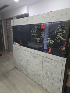 (Category: ) located in . Submitted by trendzbuy (Listing ID 1367407416, Image 1). Description: .