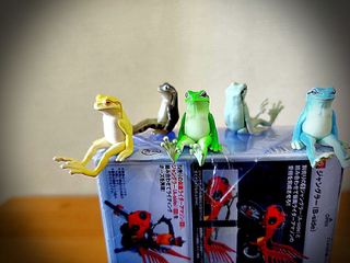 （分類：）位於 。 由 kaijufai 提交（商品編號 1367299719，圖片 1）。簡介： 。