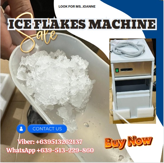 Ice Flakes Machine IMS-20 with 5kg, Everything Else, Others on Carousell