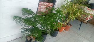 (Category: ) located in . Submitted by SND2010 (Listing ID 1367292378, Image 1). Description: .