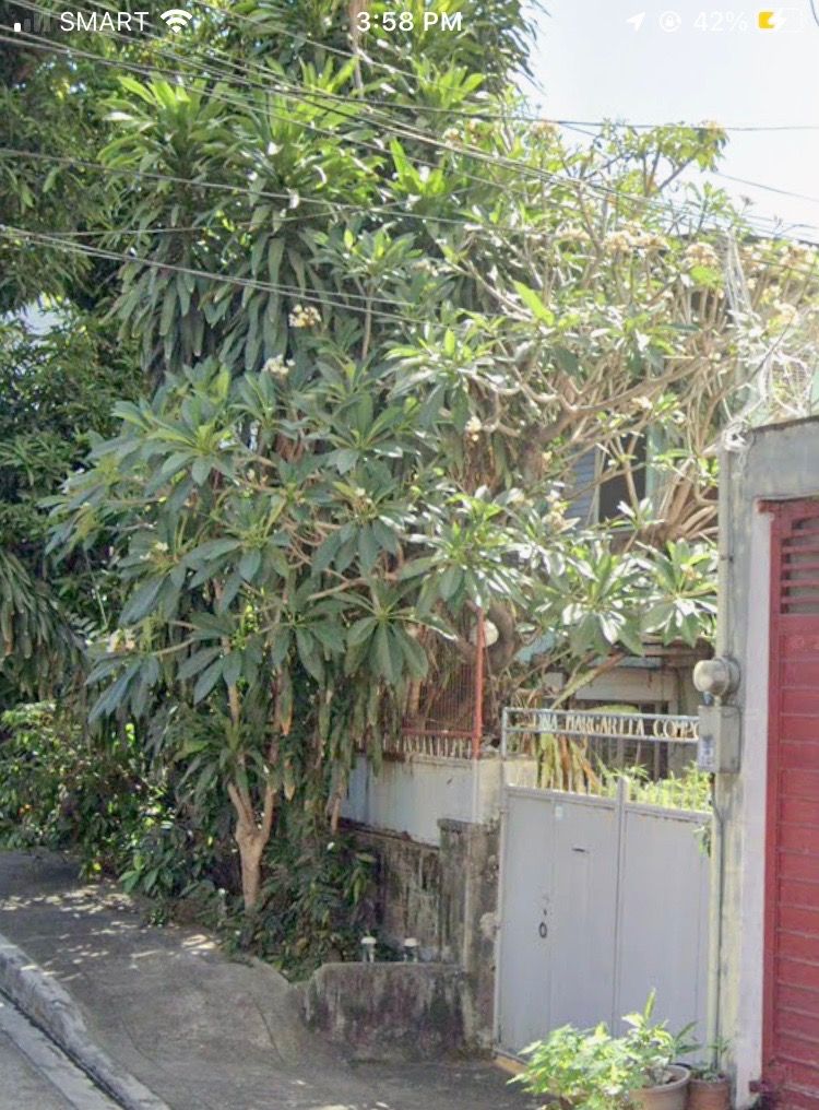 Project 8 near Shorthorn (Category: House & Lot) located in Caloocan City. Submitted by sanchjo021268 (Listing ID 1367446006, Image 3). Description: Asking is 30M Near bank, school, road 20, Shorthorn st Near brgy hall Gated Quiet neigborhood Not flooding Brgy Bahay Toro Property 2 house and lot One in front is an old house The other one at the back was build 1990s The property is facing Northwest ***Has deep well kaya kahit mawalan ng tubig sa M