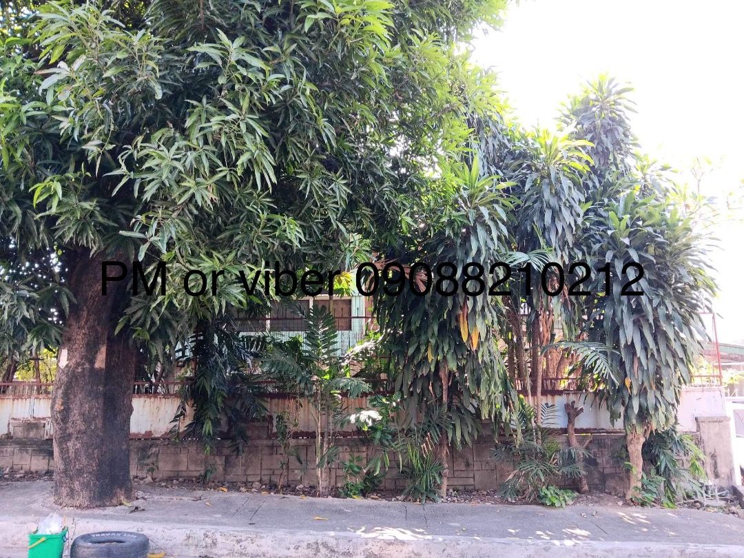 Project 8 near Shorthorn (Category: House & Lot) located in Caloocan City. Submitted by sanchjo021268 (Listing ID 1367446006, Image 2). Description: Asking is 30M Near bank, school, road 20, Shorthorn st Near brgy hall Gated Quiet neigborhood Not flooding Brgy Bahay Toro Property 2 house and lot One in front is an old house The other one at the back was build 1990s The property is facing Northwest ***Has deep well kaya kahit mawalan ng tubig sa M