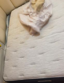 （分類：）位於 。 由 higusher 提交（商品編號 1367355666，圖片 1）。簡介： 。