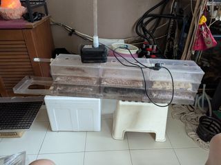 (Category: ) located in . Submitted by maxbox0708 (Listing ID 1367363520, Image 1). Description: .