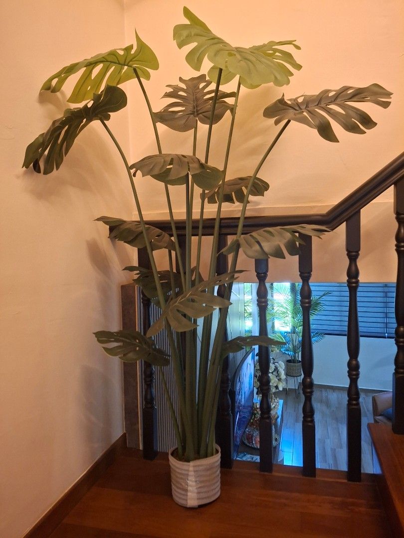 2× Artificial Plants65075499627778111