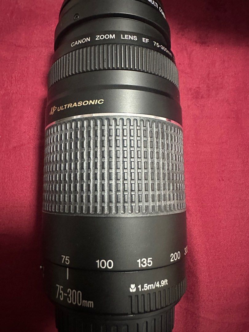 佳能镜头 EF 75/300mm62863071434370113