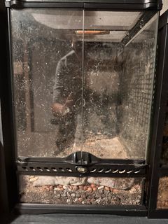 (Category: ) located in . Submitted by froggobaggins (Listing ID 1367623168, Image 1). Description: .