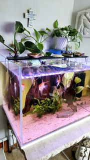 (Category: ) located in . Submitted by se7enlee (Listing ID 1367572968, Image 1). Description: .
