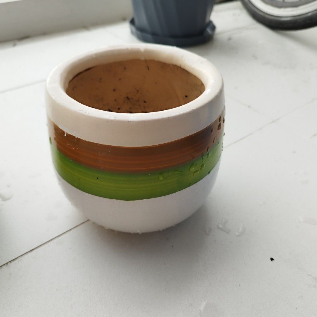 Plant plot (Category: Pots & Planters) located in Singapore. Submitted by julesmurtagh (Listing ID 1367589631, Image 1). Description: .