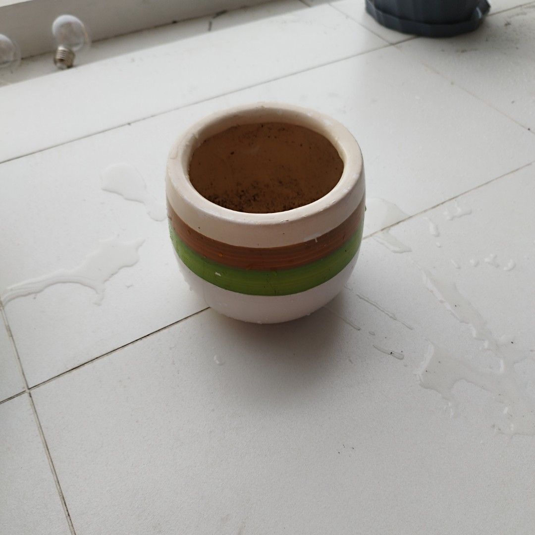 Plant plot (Category: Pots & Planters) located in Singapore. Submitted by julesmurtagh (Listing ID 1367589631, Image 2). Description: .