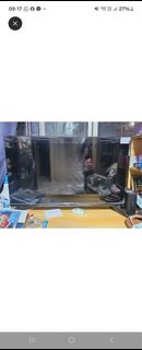(Category: ) located in . Submitted by ntan.2000 (Listing ID 1367563631, Image 1). Description: .